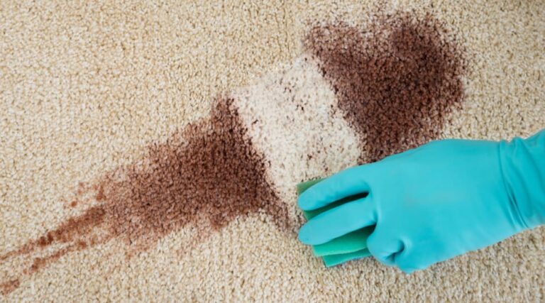 Effective Methods For Removing Coffee Stains From Carpets